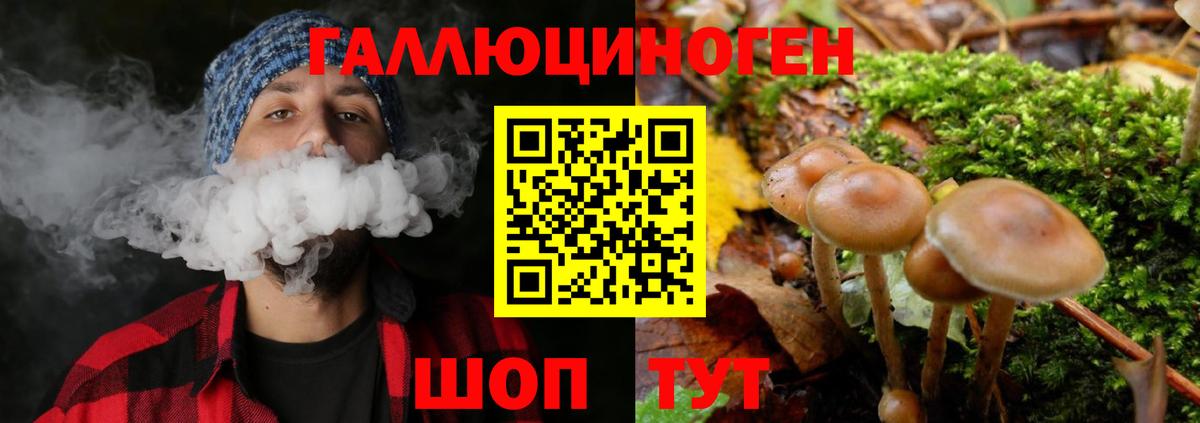 купить   Псилоцибиновые грибы MAGIC MUSHROOMS  Вход с VPN  Златоуст  Псилоцибиновые грибы ЛСД 
